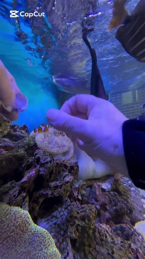 liveaquaria|LiveAquaria (@liveaquaria) • Instagram photos and videos.